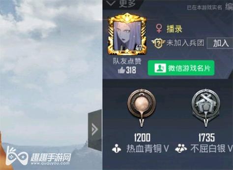 和平精英辅助【AI内核】方框透视 骨骼显示 人物射线 手持武器 触摸自瞄