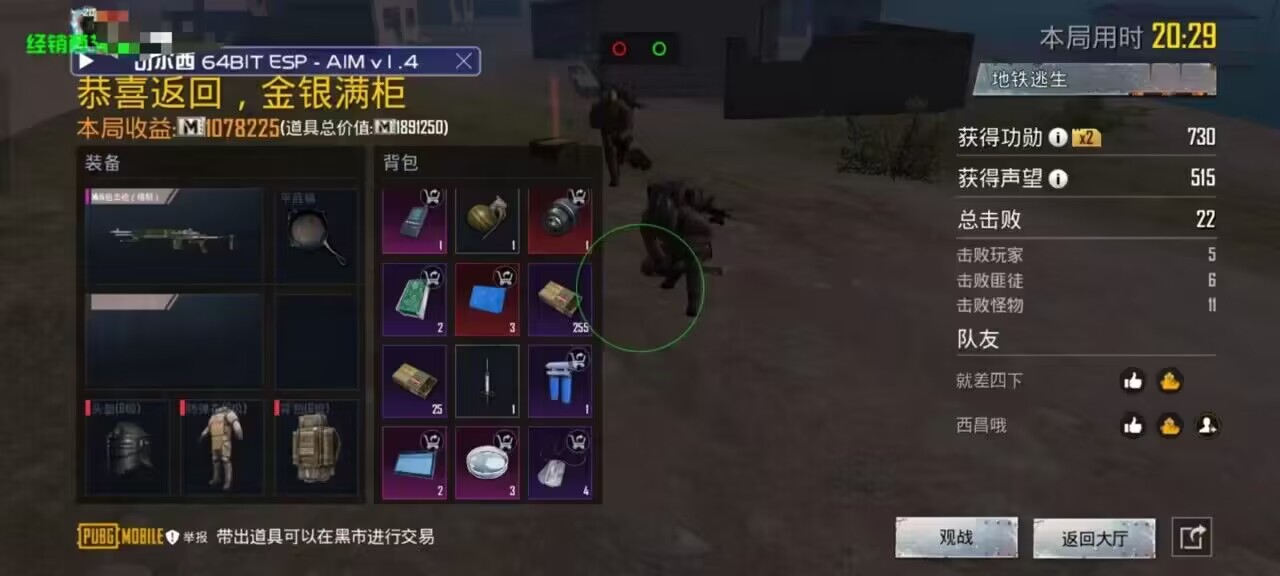 和平精英「路易威登」外挂