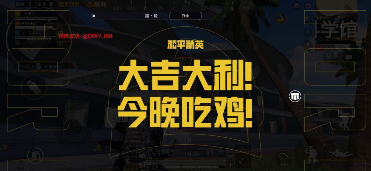 手机和平精英辅助透视